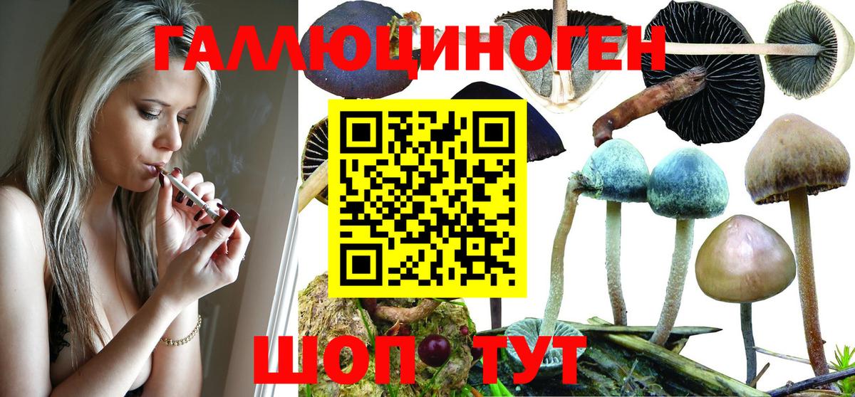 Галлюциногенные грибы MAGIC MUSHROOMS Кизляр